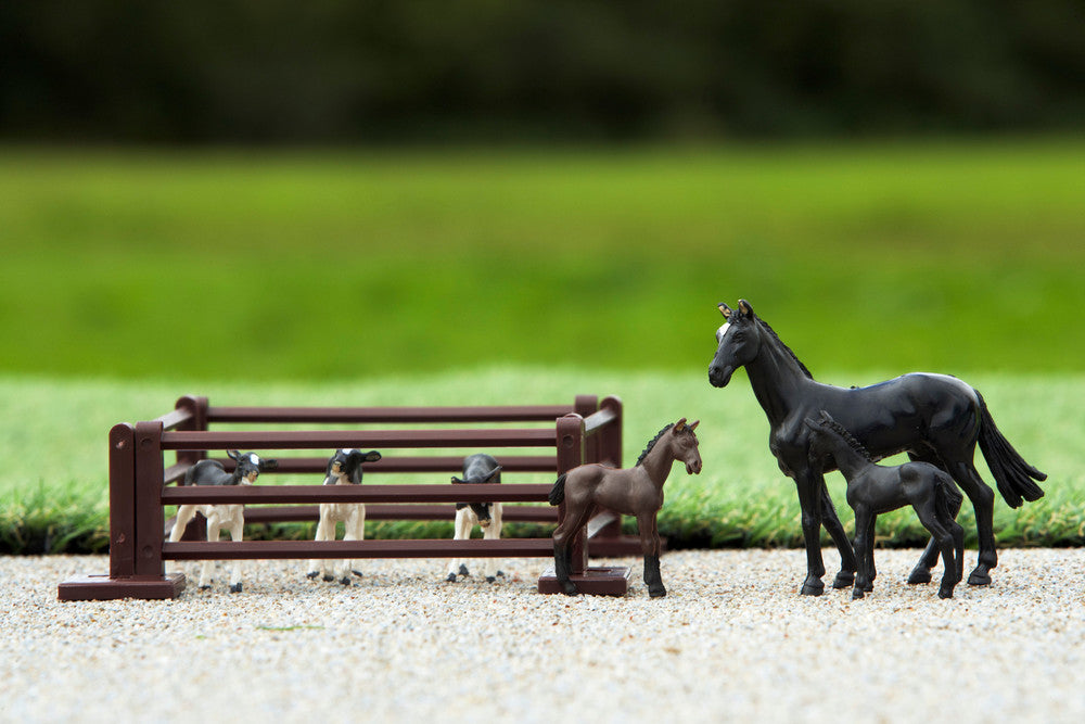 Farm Animals
