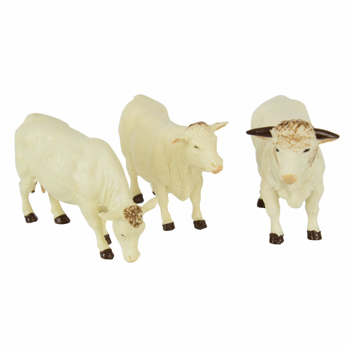 COW SET CHAROLAIS