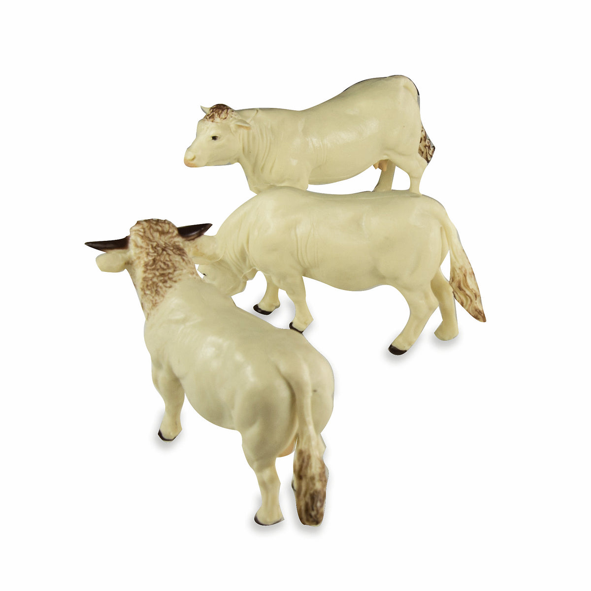 COW SET CHAROLAIS