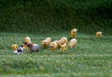 SHEEP SET