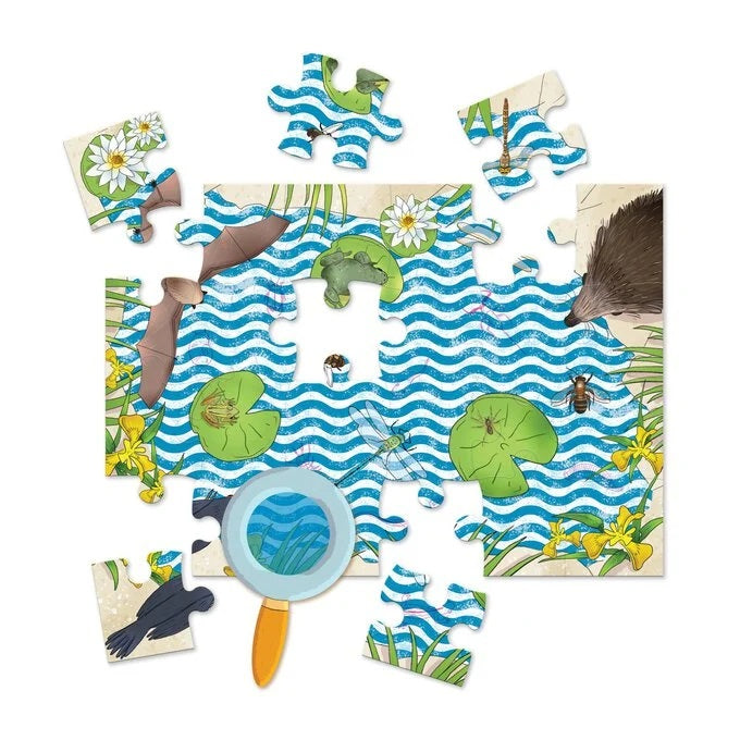 LET'S LEARN TINY CREATURES