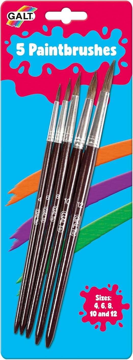5 PAINTBRUSHES  SOFT BRISTLE
