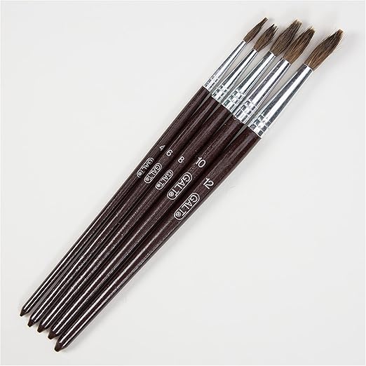 5 PAINTBRUSHES  SOFT BRISTLE