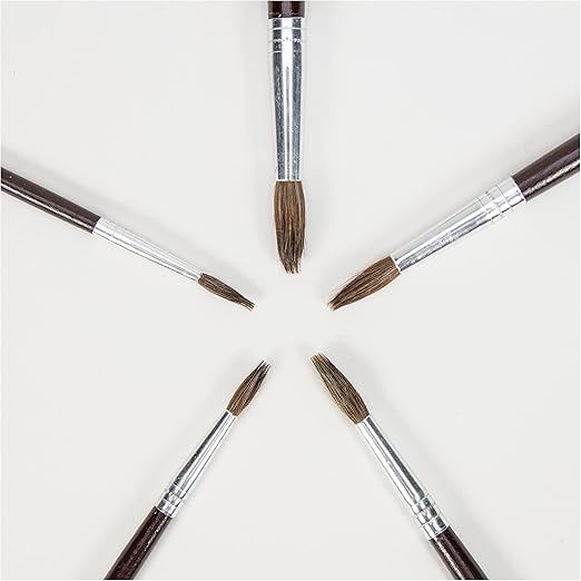 5 PAINTBRUSHES  SOFT BRISTLE