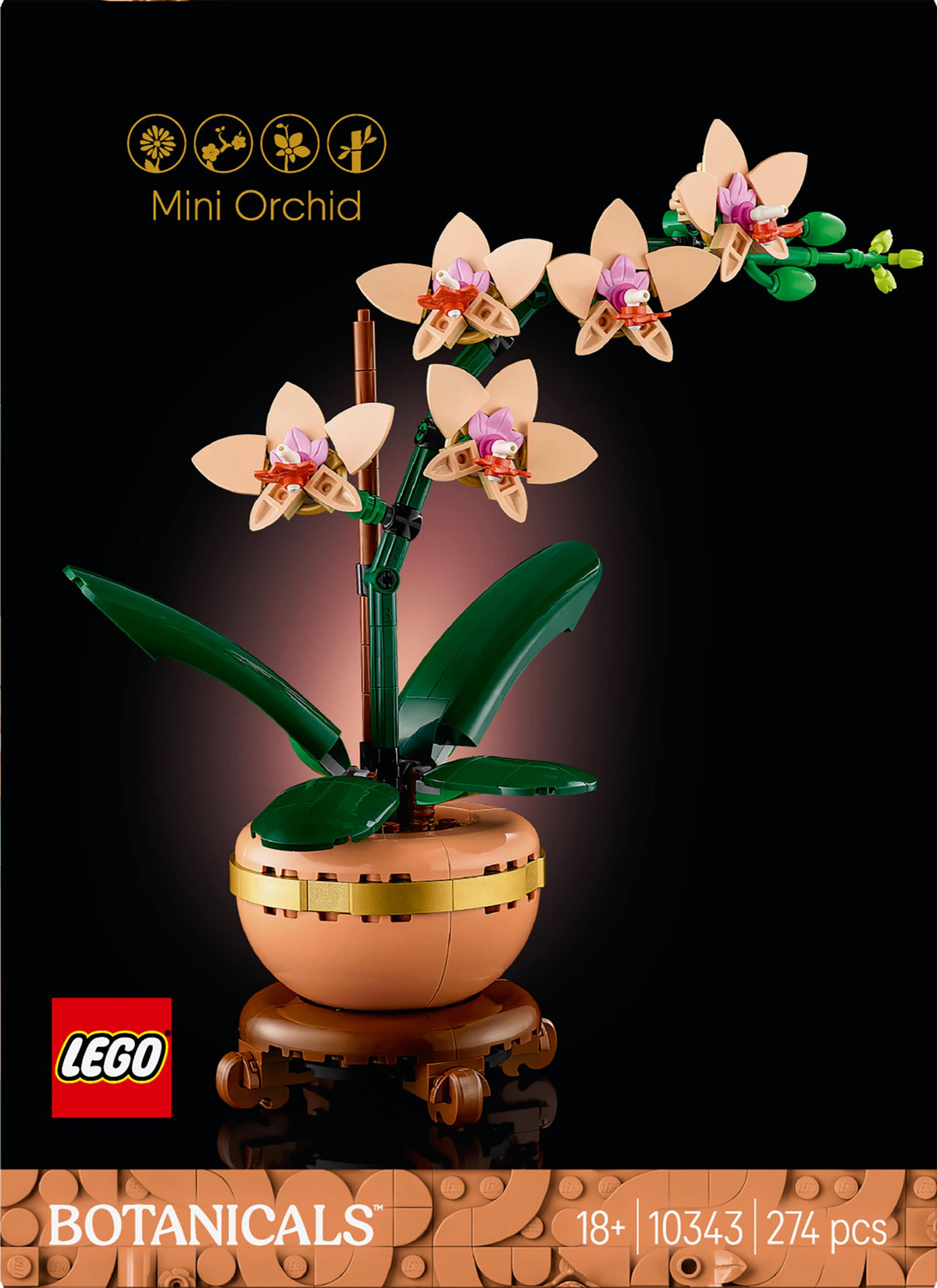 MINI ORCHID