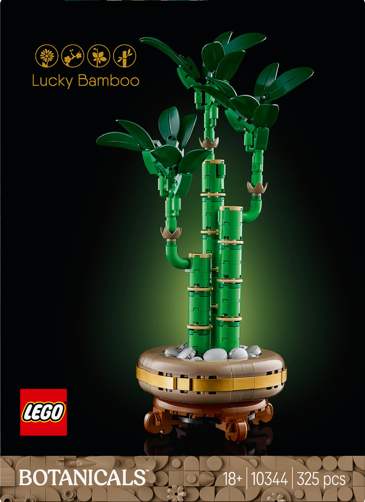 LUCKY BAMBOO