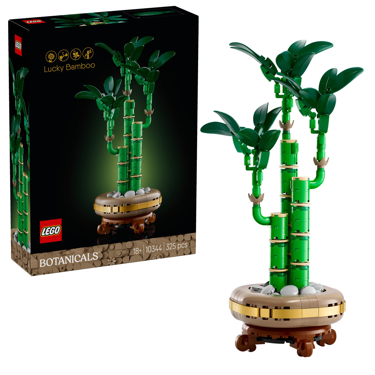 LUCKY BAMBOO