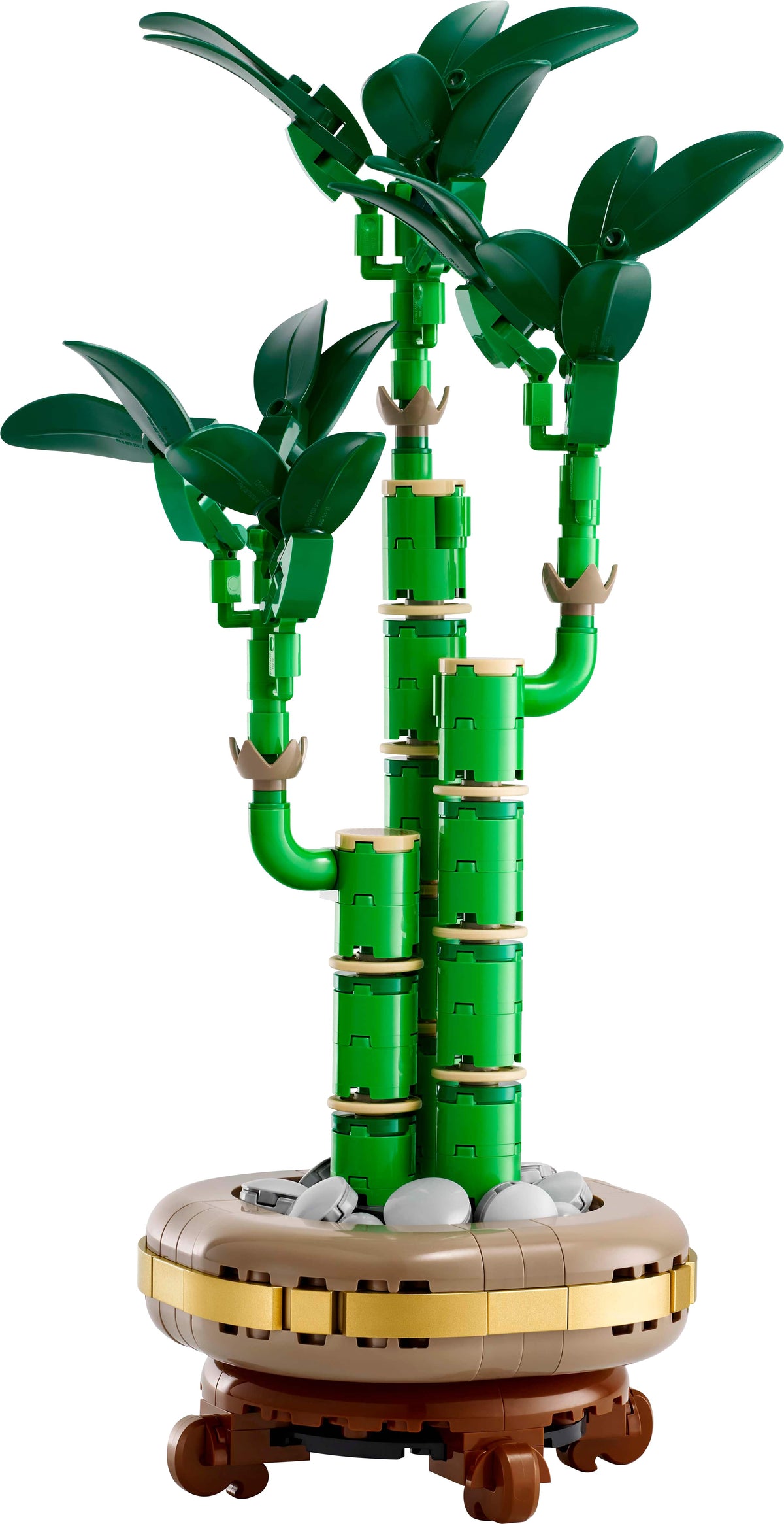 LUCKY BAMBOO