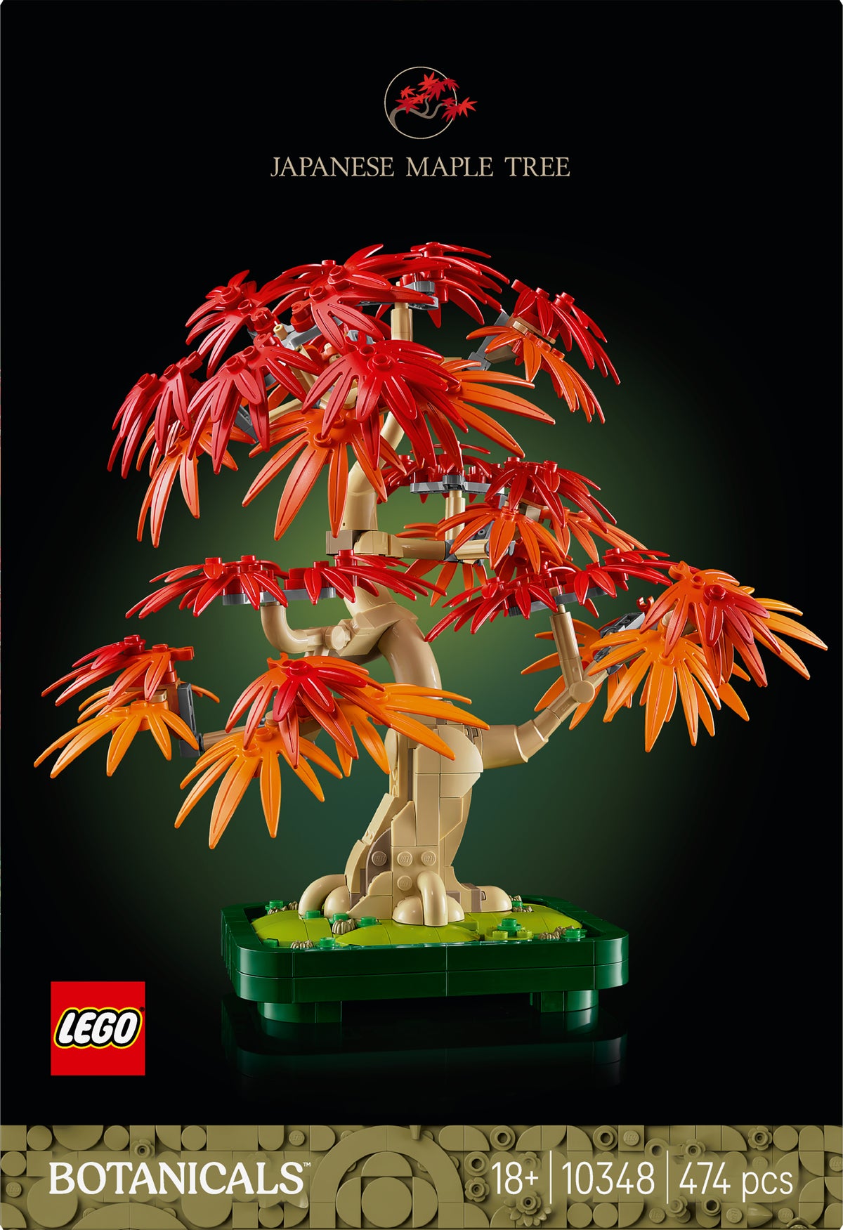 JAPANESE REDMAPLE BONSAI TREE