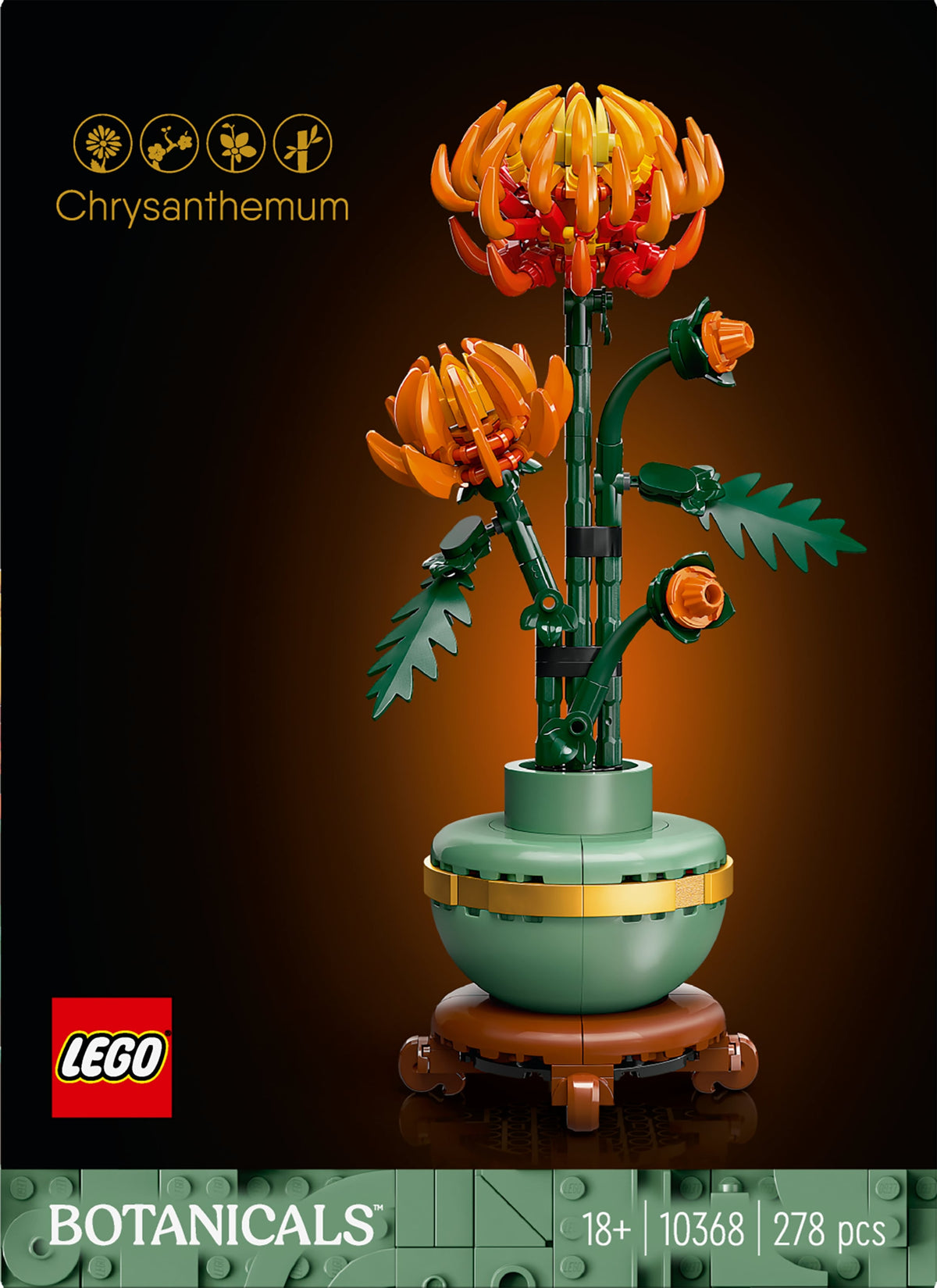CHRYSANTHEMUM