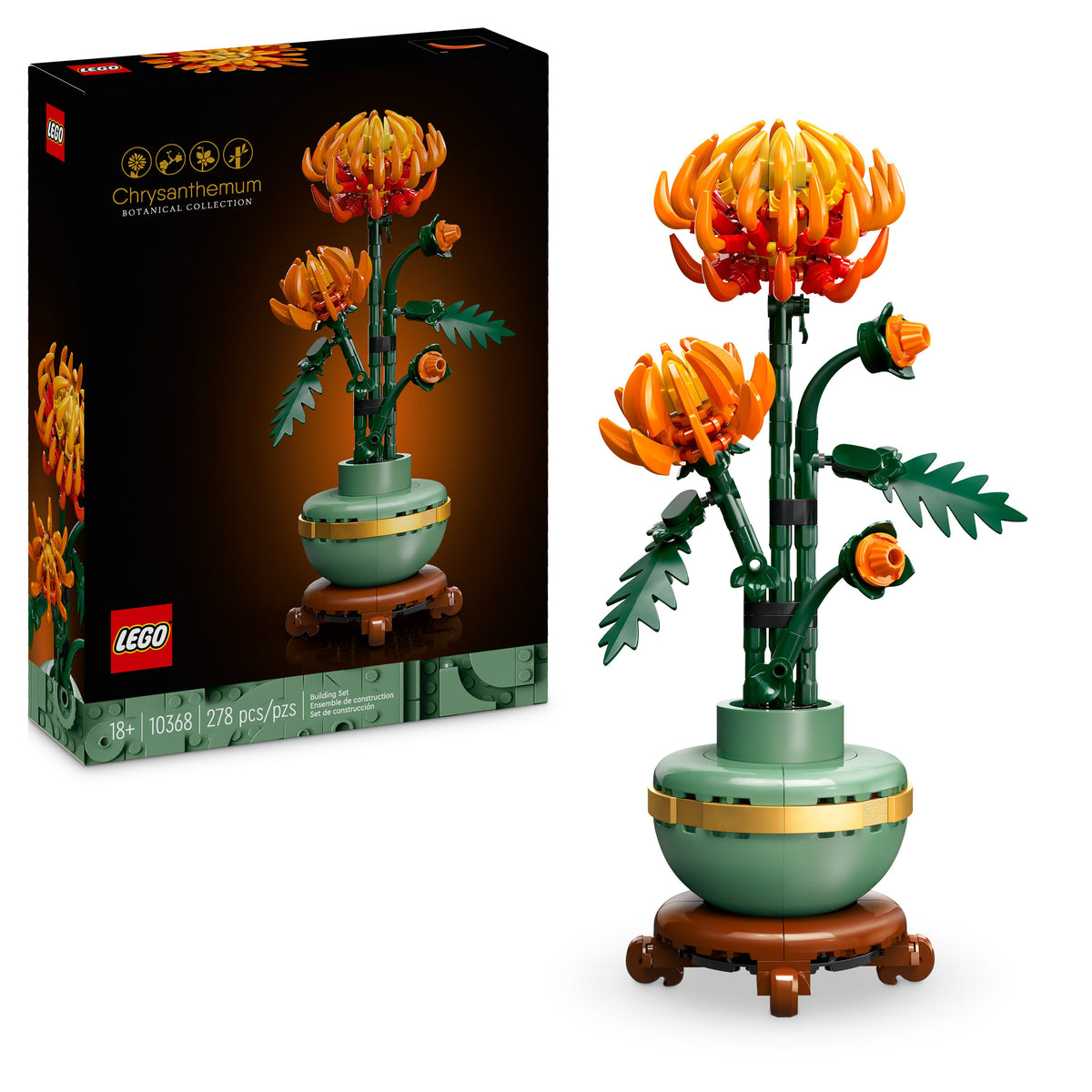 CHRYSANTHEMUM