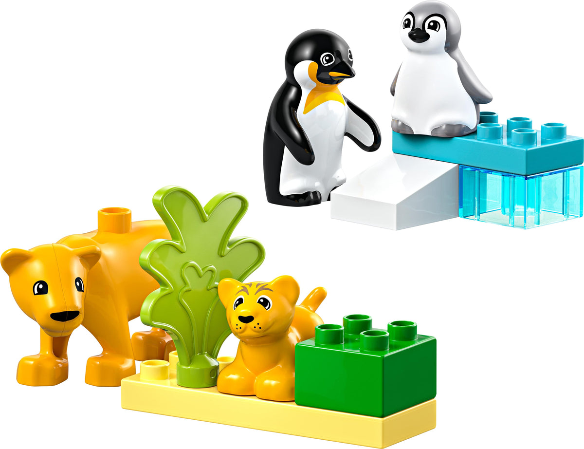 PENGUINS&amp; LIONS