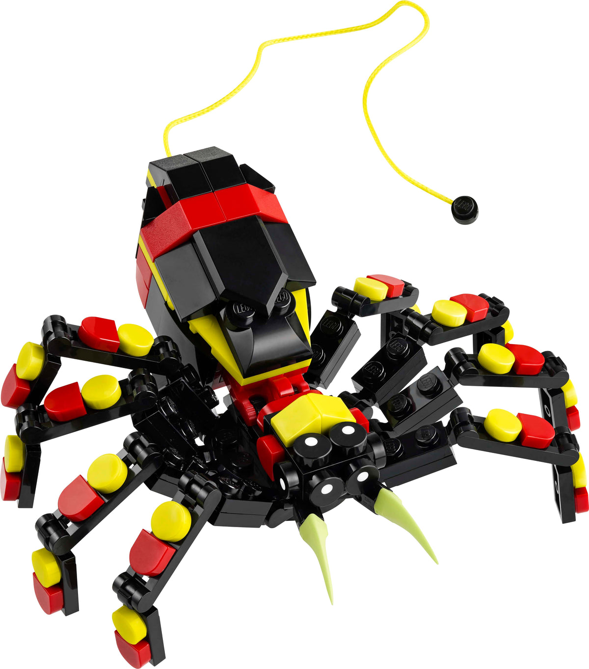 SURPRISING SPIDER