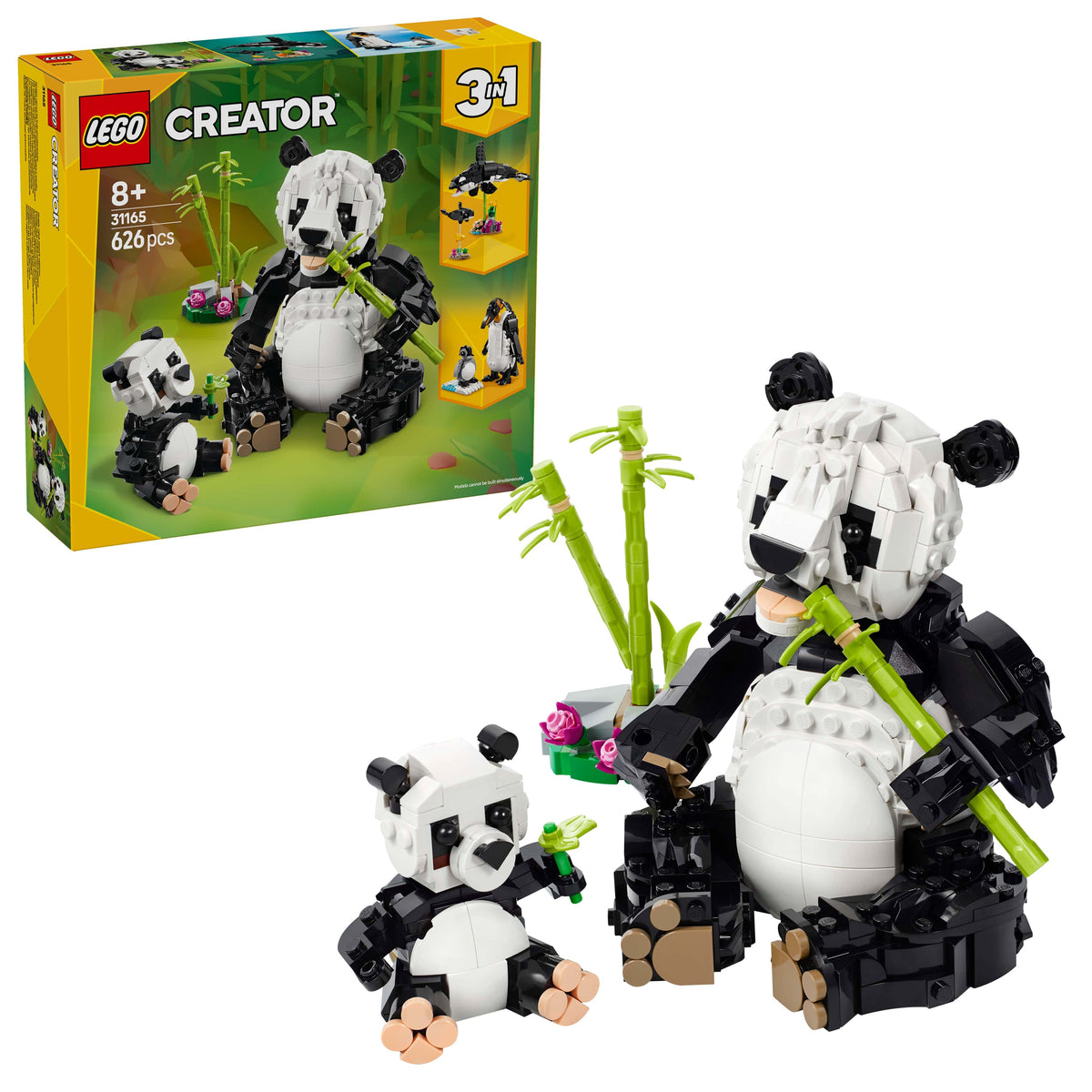 PANDA FAMILY