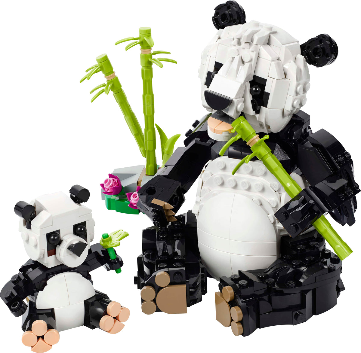 PANDA FAMILY