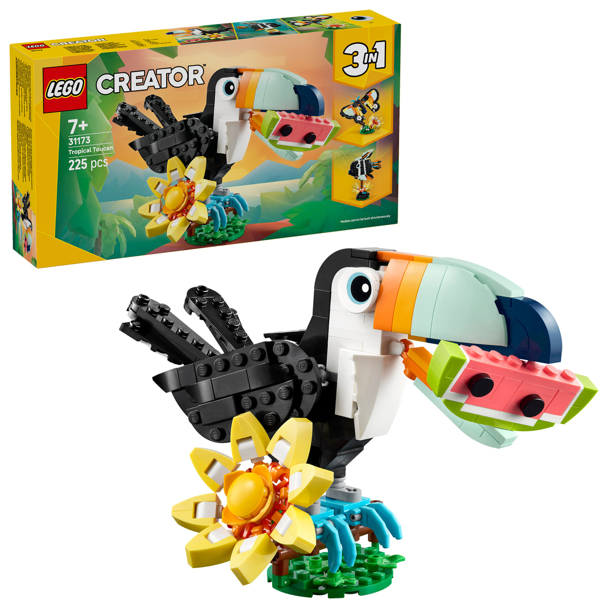 WILD ANIMALS TROPICAL TOUCAN
