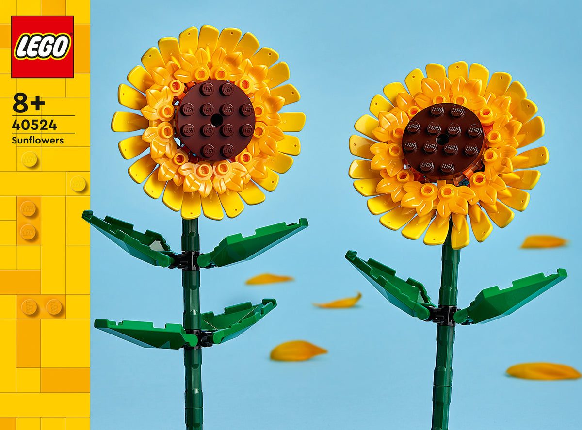 SUNFLOWERS