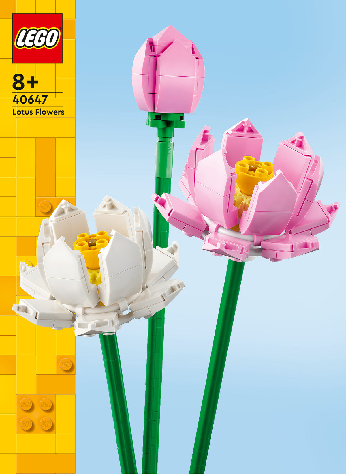 LOTUS FLOWERS