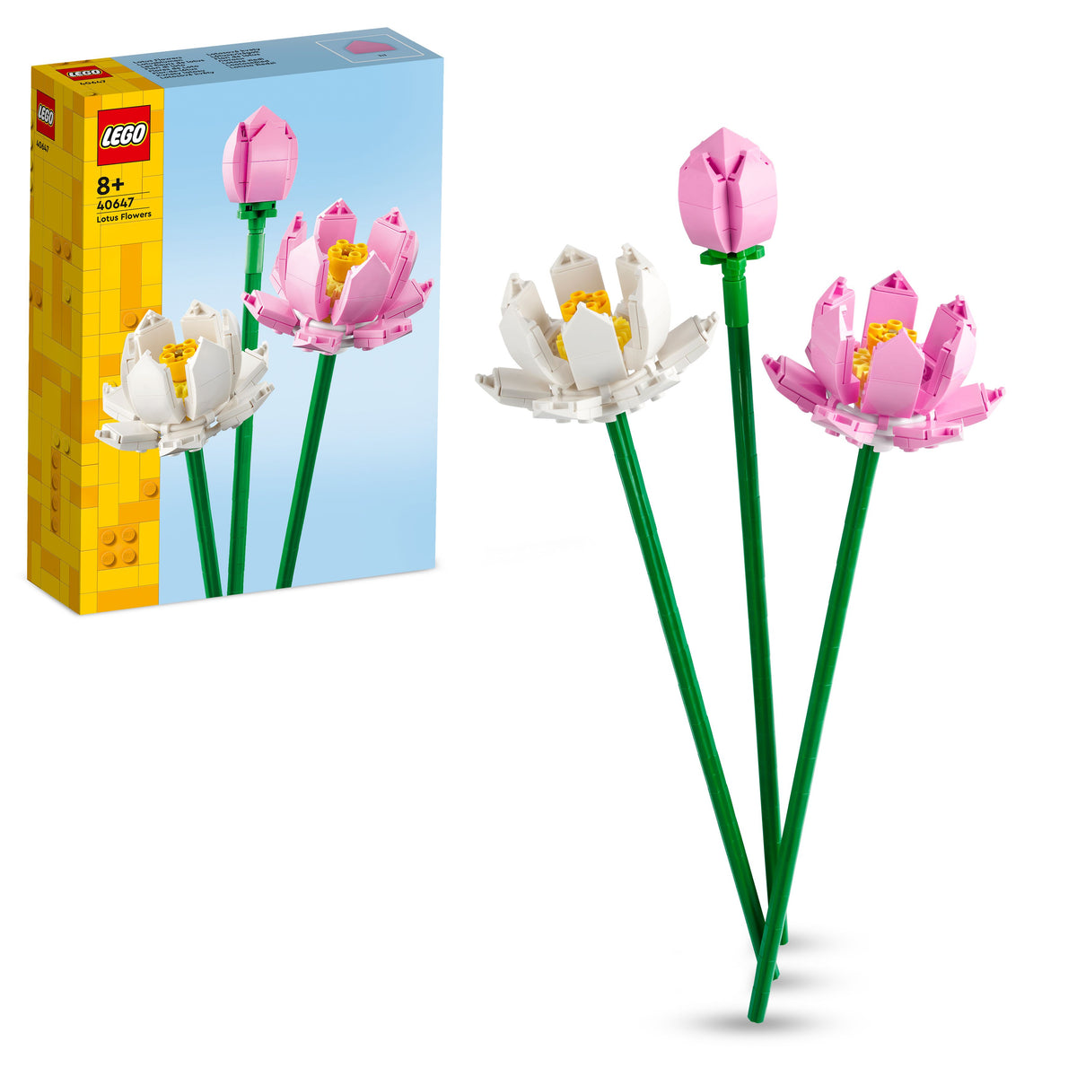 LOTUS FLOWERS