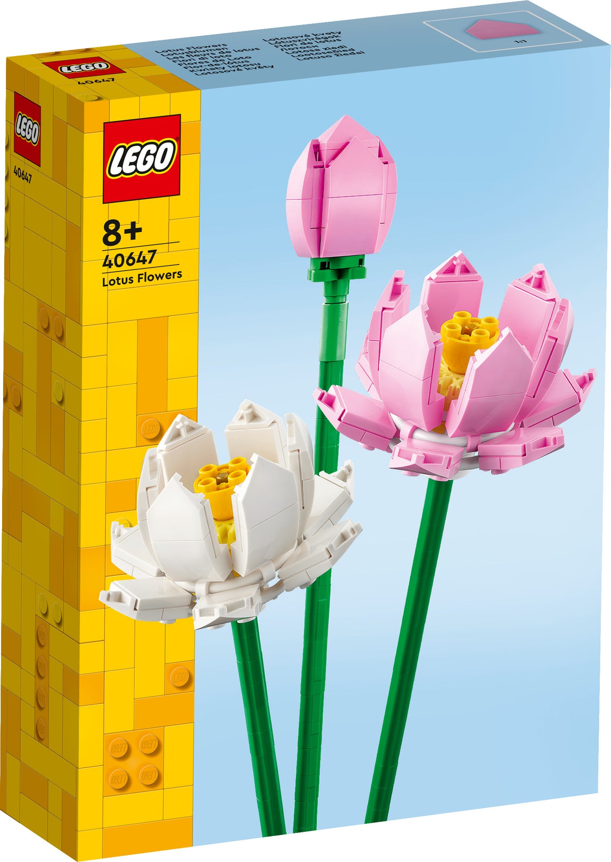 LOTUS FLOWERS