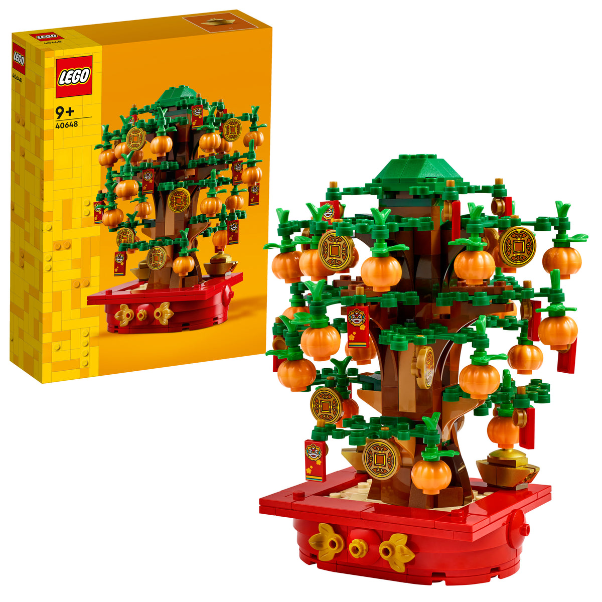 MONEY TREE
