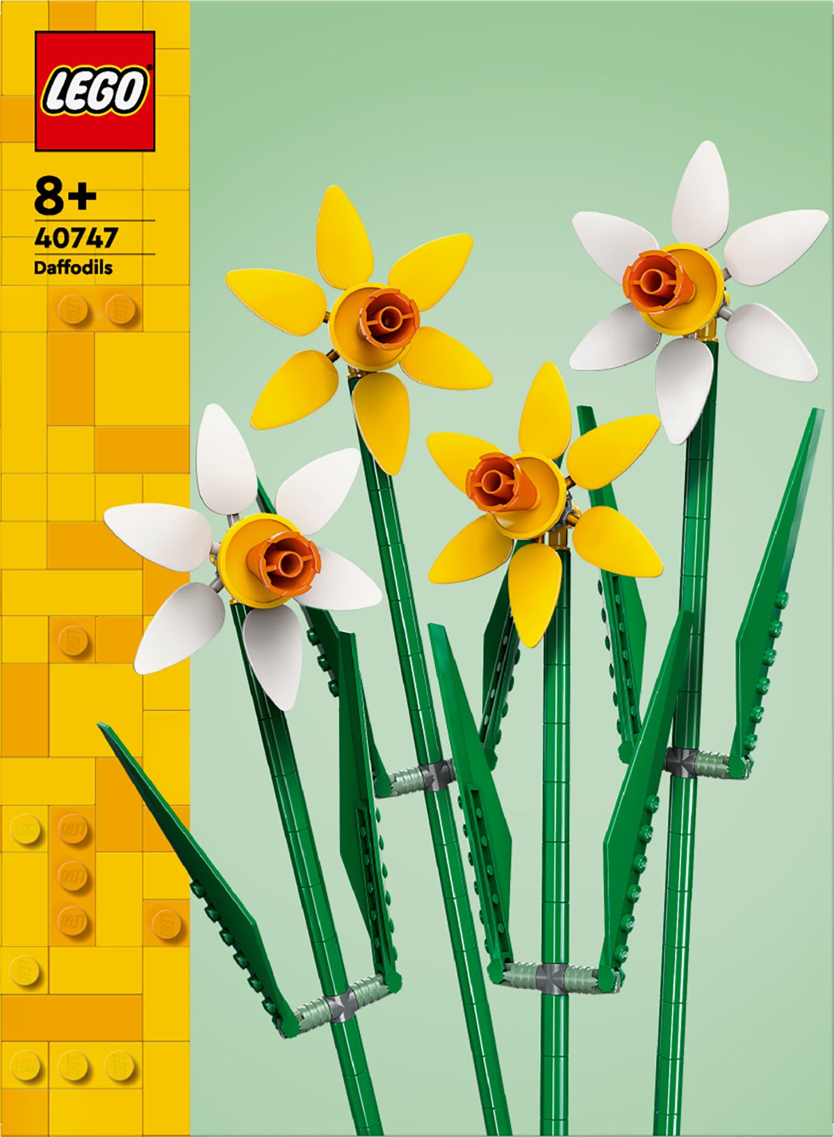 DAFFODILS
