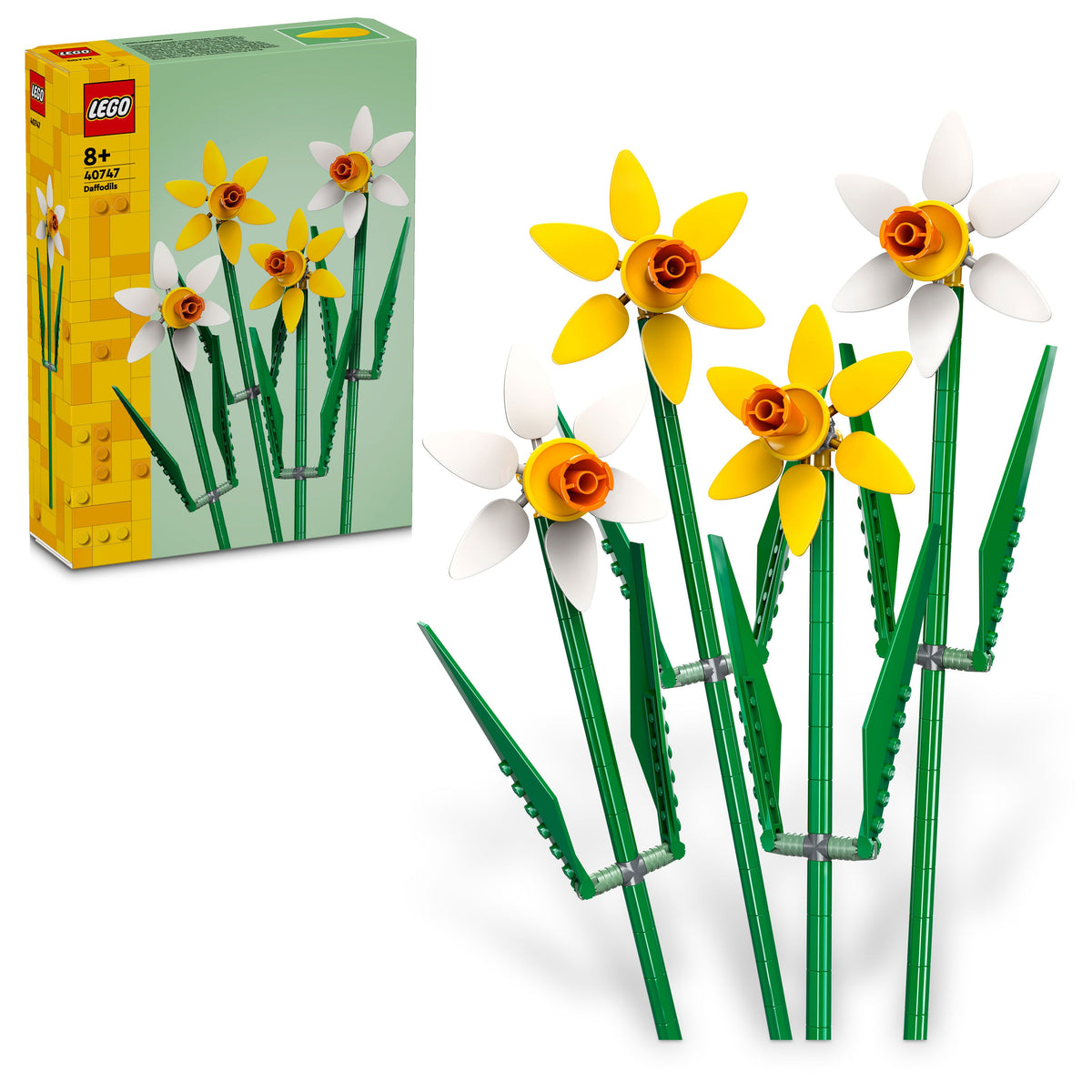 DAFFODILS