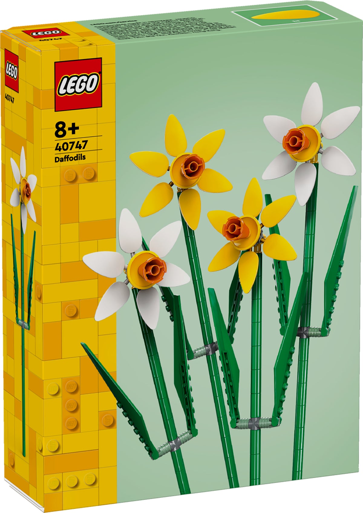DAFFODILS
