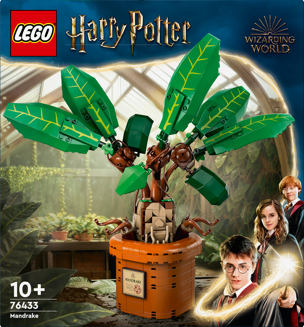 MANDRAKE