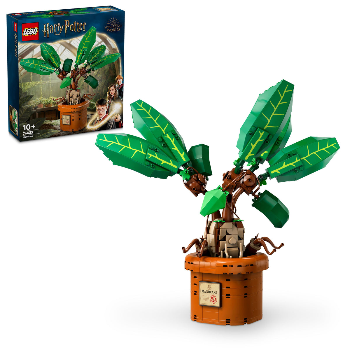 MANDRAKE