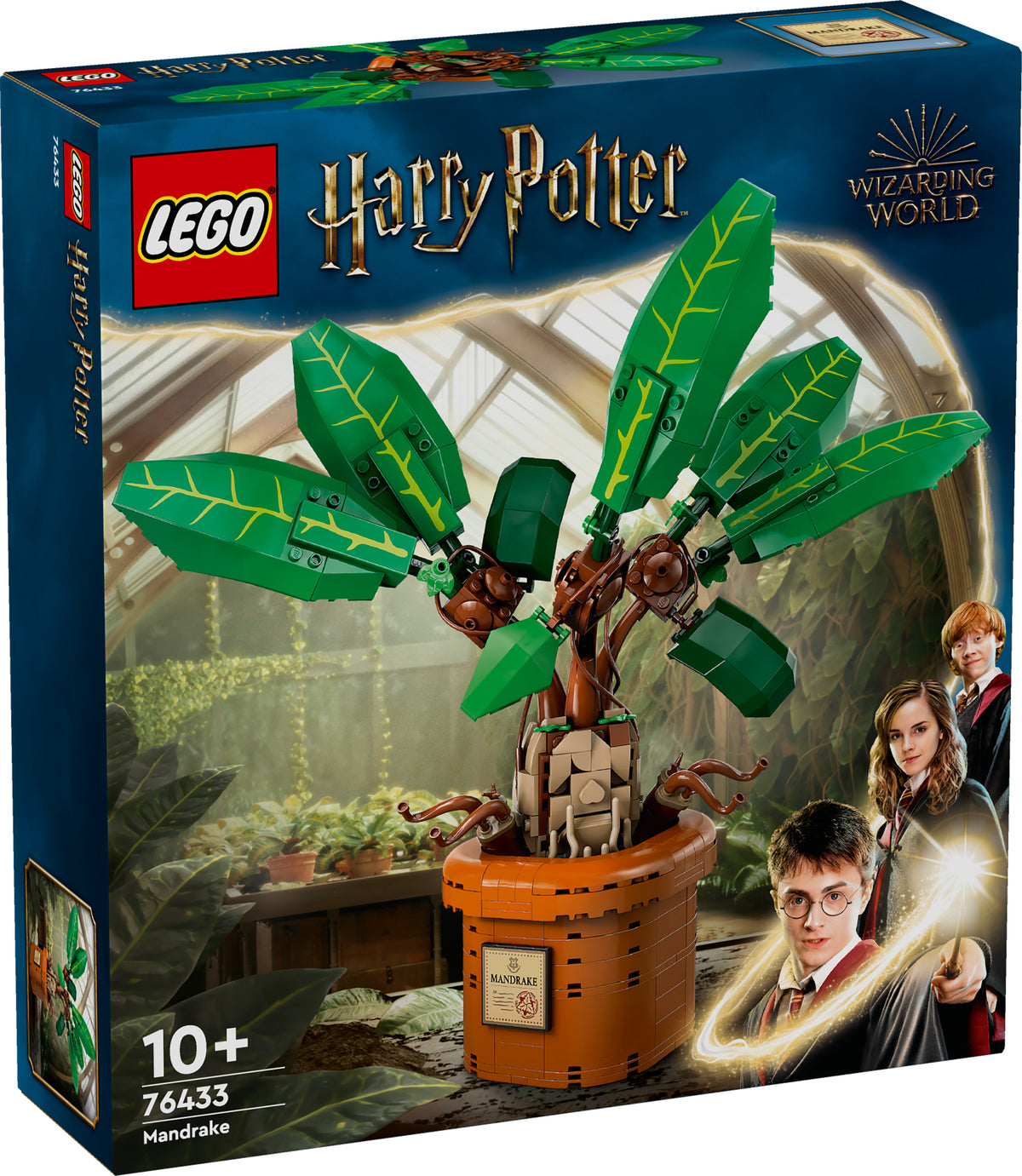 MANDRAKE