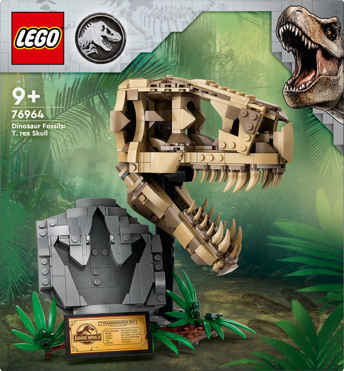 DINO FOSSILS T-REX SKULL