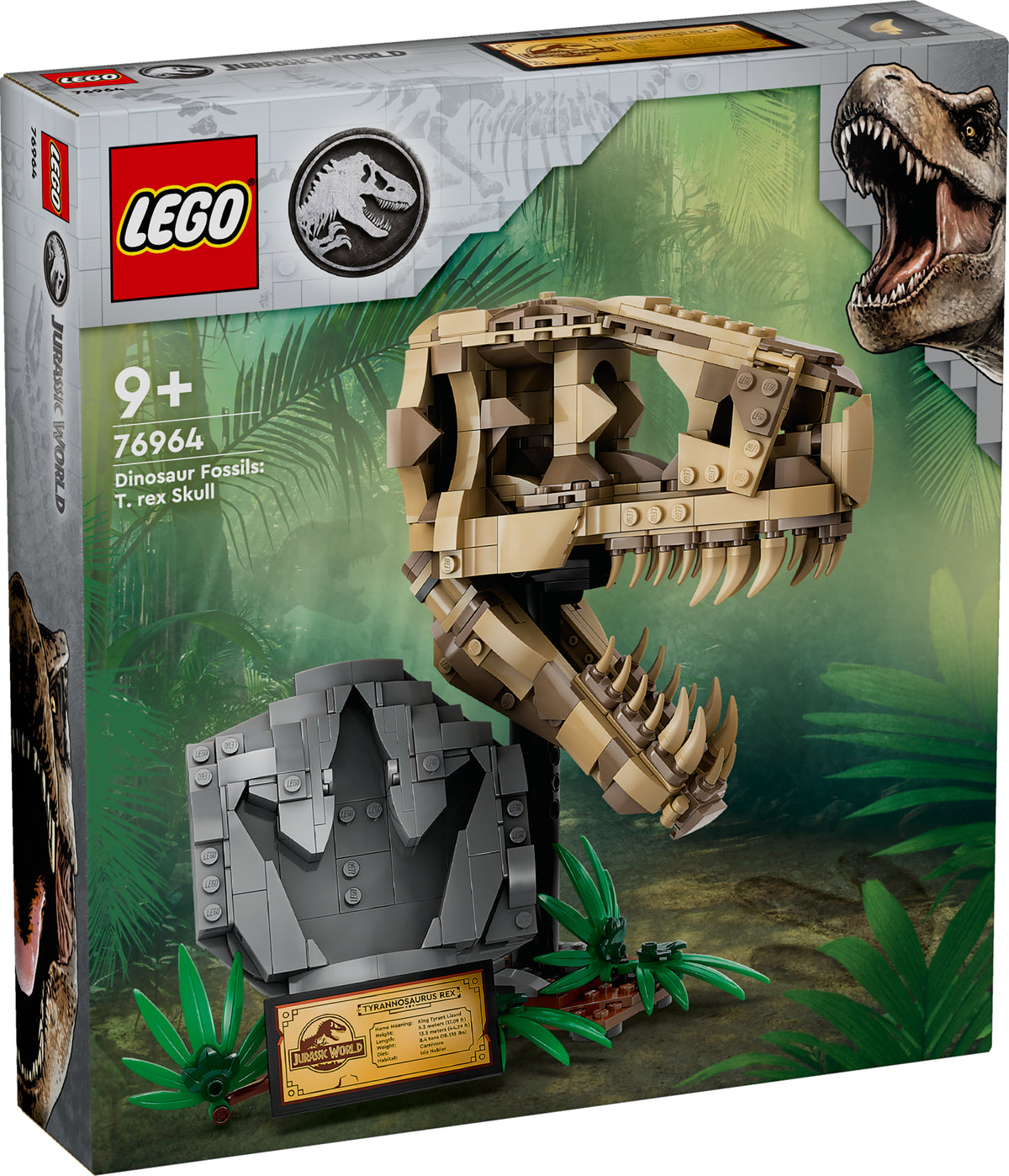DINO FOSSILS T-REX SKULL