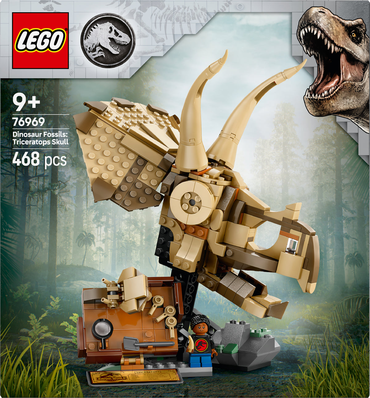 DINOSAUR FOSSILS TRICERATOPS