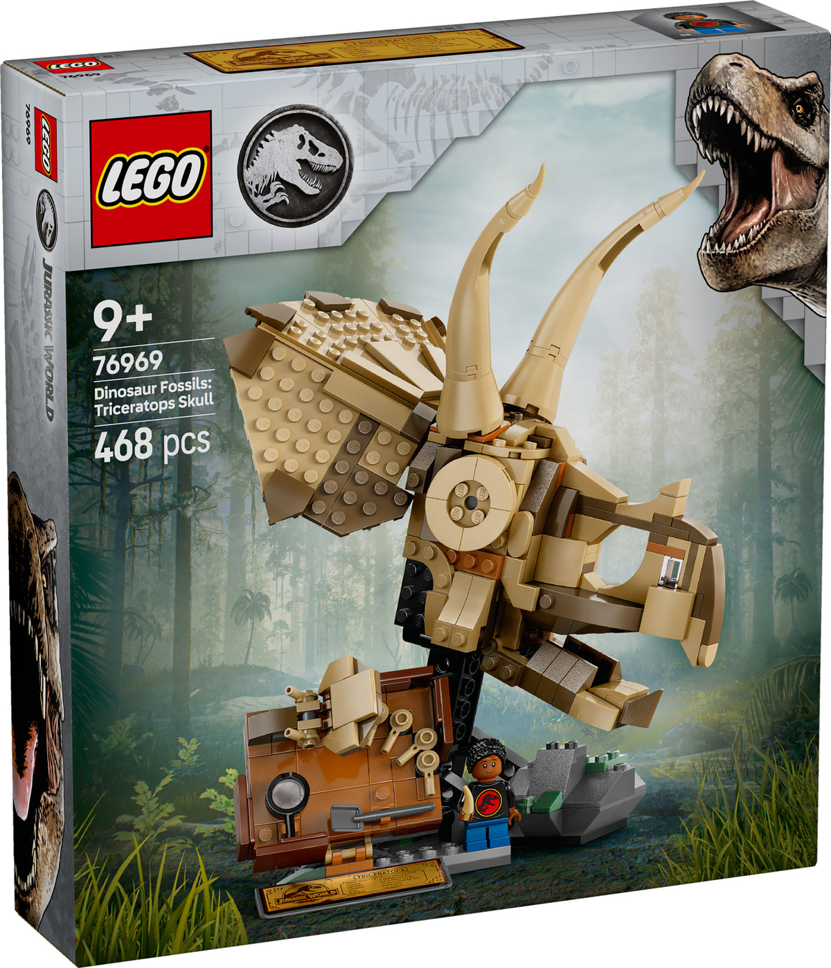 DINOSAUR FOSSILS TRICERATOPS