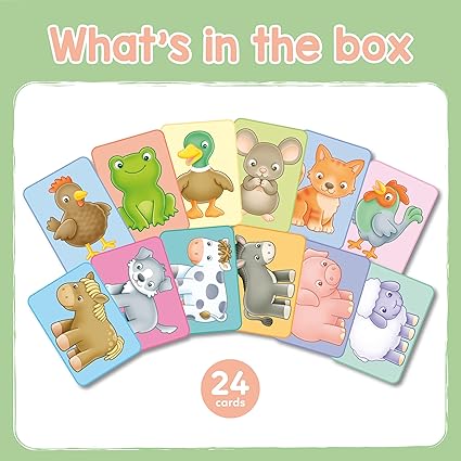 SEE AND SOUND FLASHCARDS