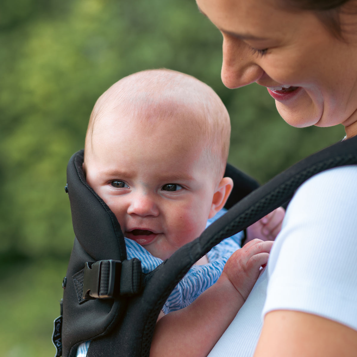 ARA CARRIER