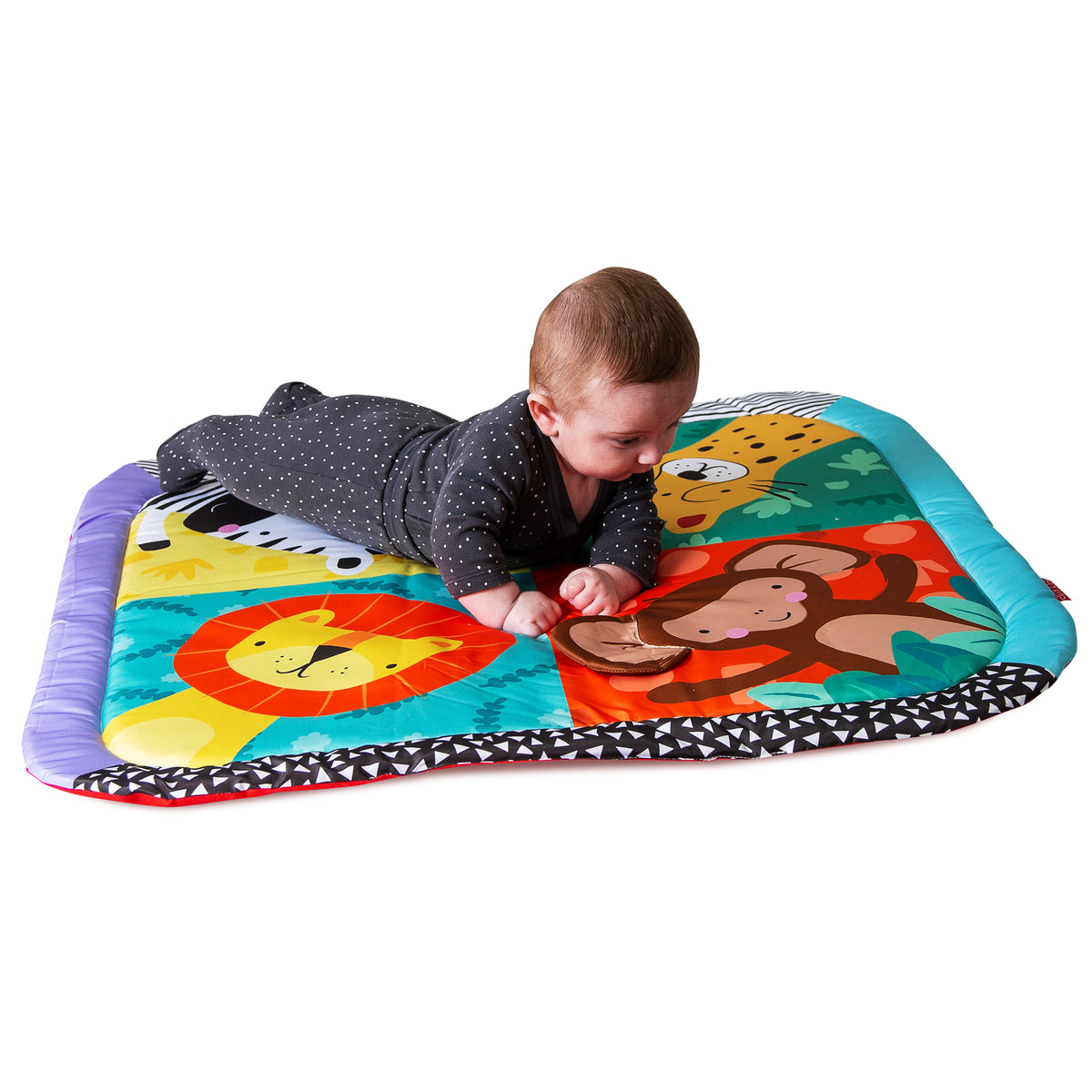 WILD SAFARI PLAYGYM