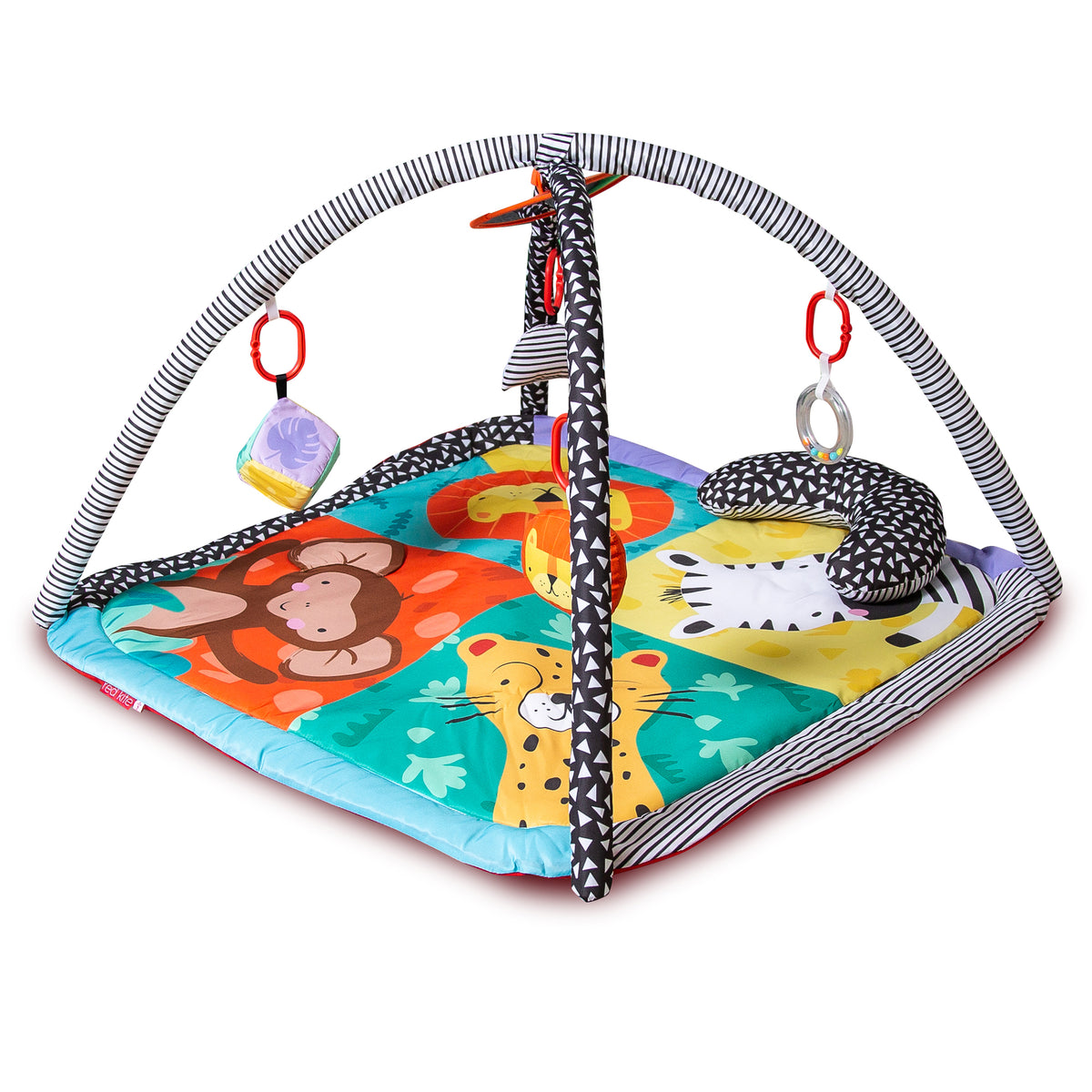 WILD SAFARI PLAYGYM