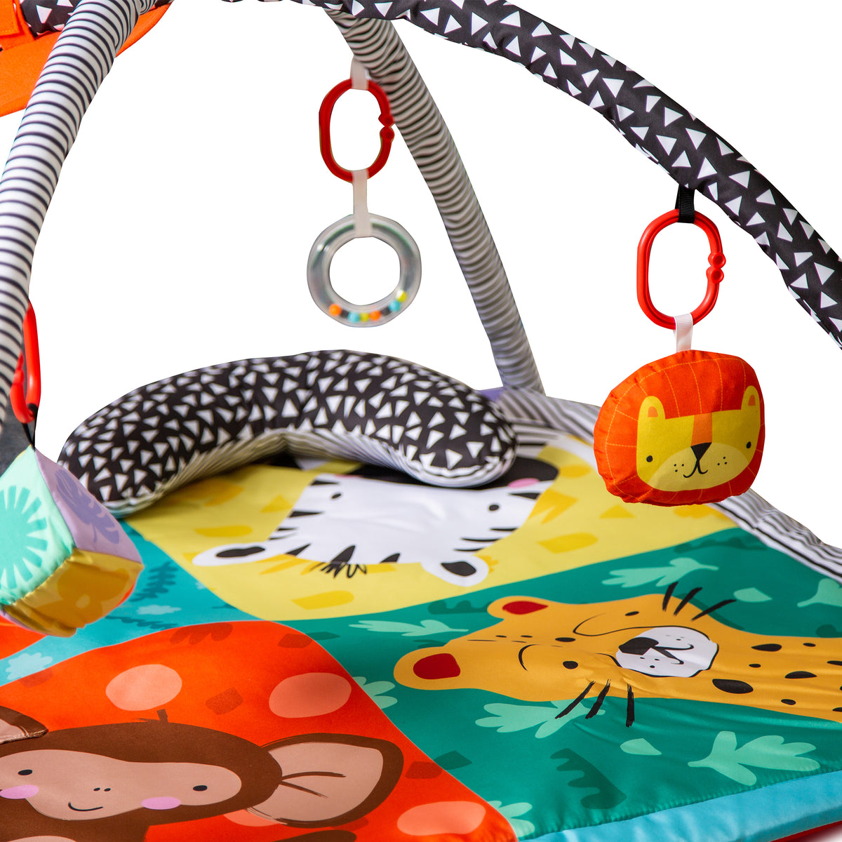WILD SAFARI PLAYGYM