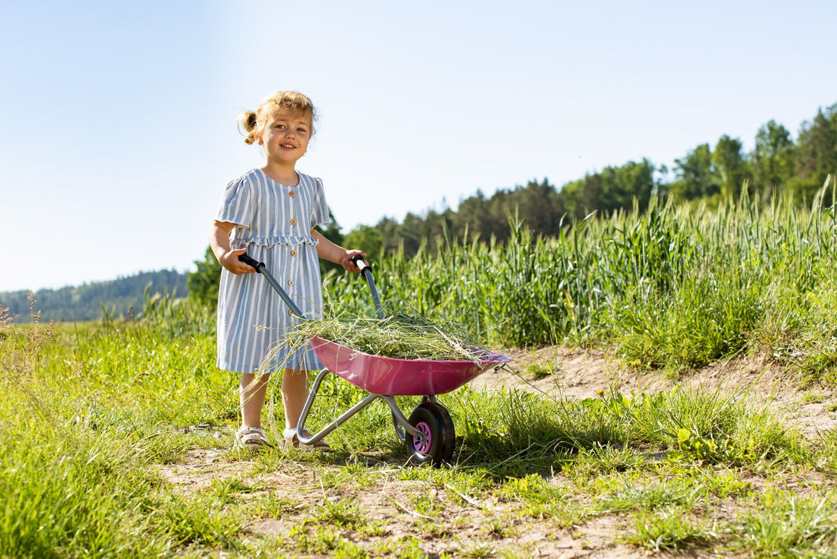 WHEELBARROW METAL PINK